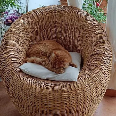 Bed & Breakfast Le Vele 4*