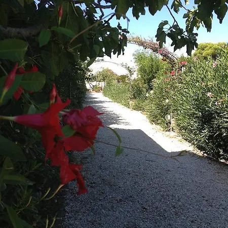 Le Vele 住宿加早餐酒店 4*