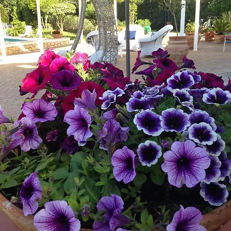 Bed & Breakfast Le Vele