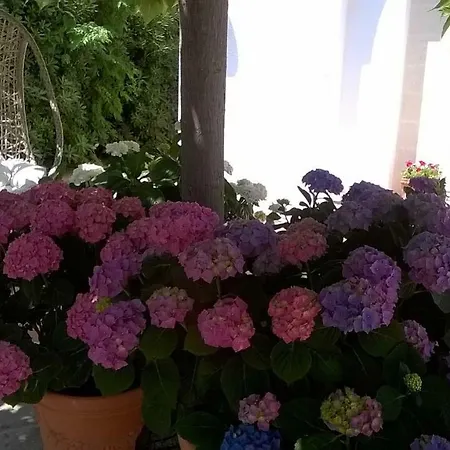 住宿加早餐酒店 Le Vele 4*