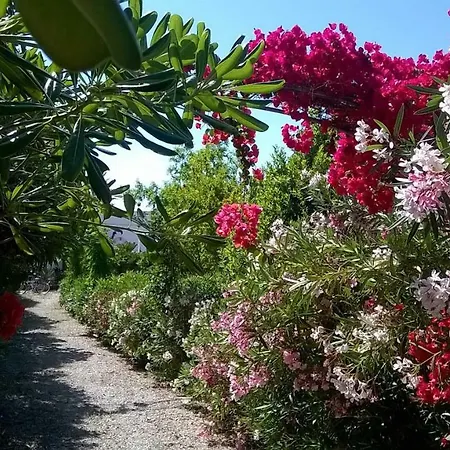 Le Vele 玛鲁吉奥