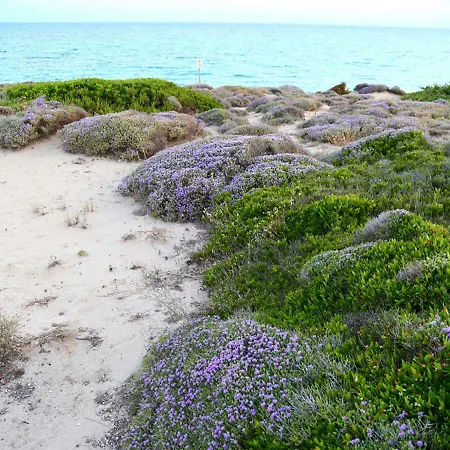 Le Vele 住宿加早餐酒店 玛鲁吉奥