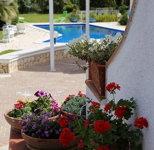 Le Vele 4* مارودجو