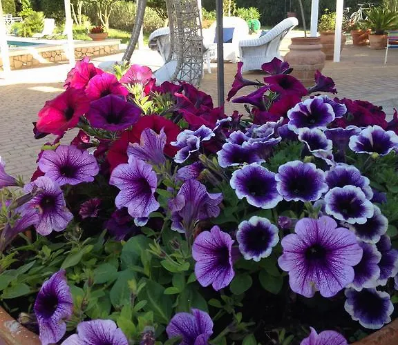 فندق مبيت وإفطار Le Vele