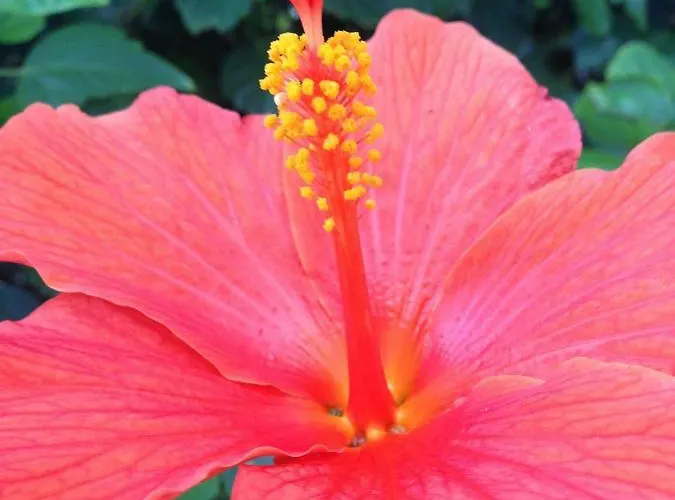 فندق مبيت وإفطار Le Vele