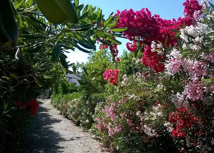 Le Vele مارودجو