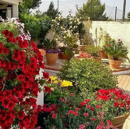 Le Vele 4* مارودجو