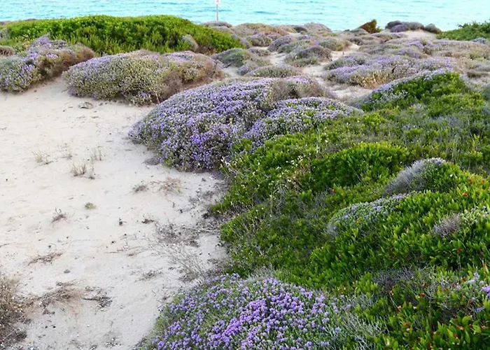 Le Vele فندق مبيت وإفطار مارودجو